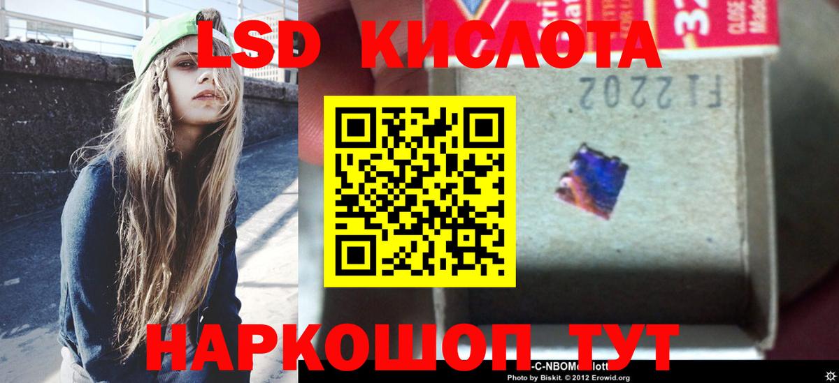 Бошки Шишки Каменка