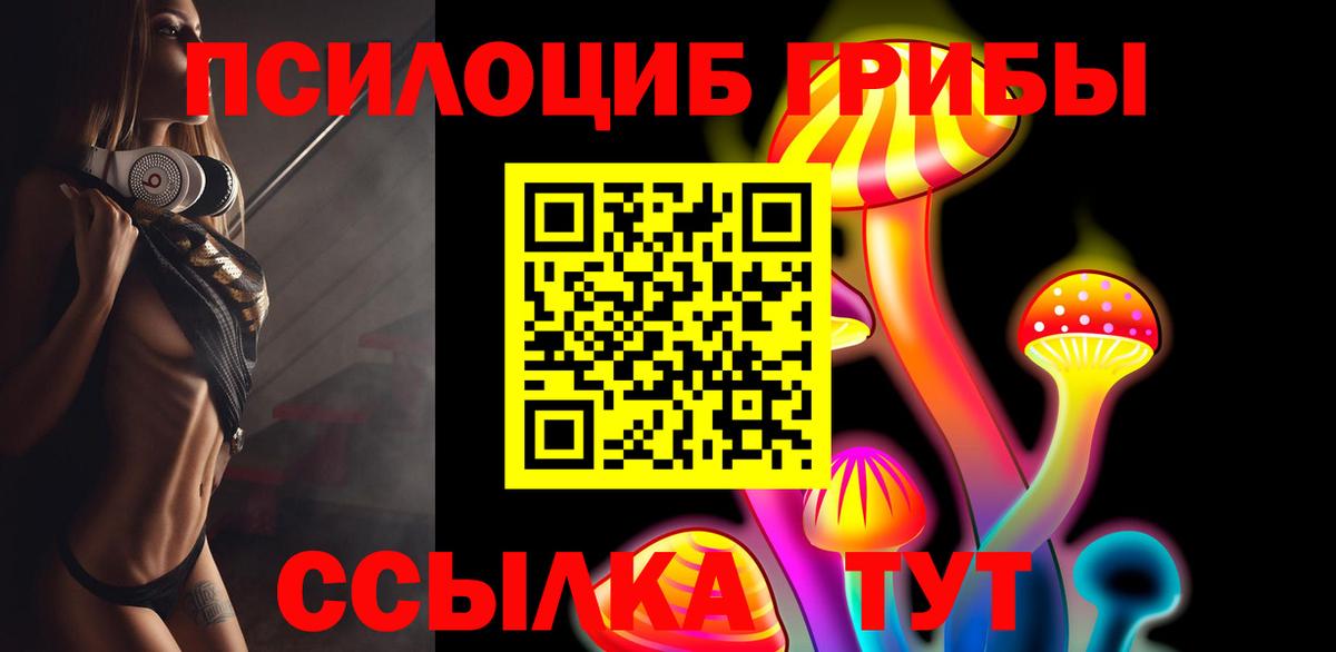 Галлюциногенные грибы Cubensis Каменка